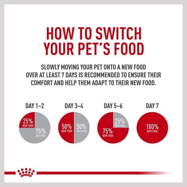 Hydrolyzed Protein Loaf Canned Dog Food S98900
