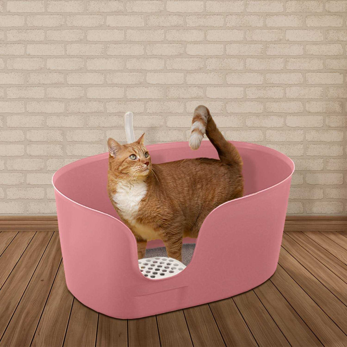 High Wall Cat Litter Box XL A668