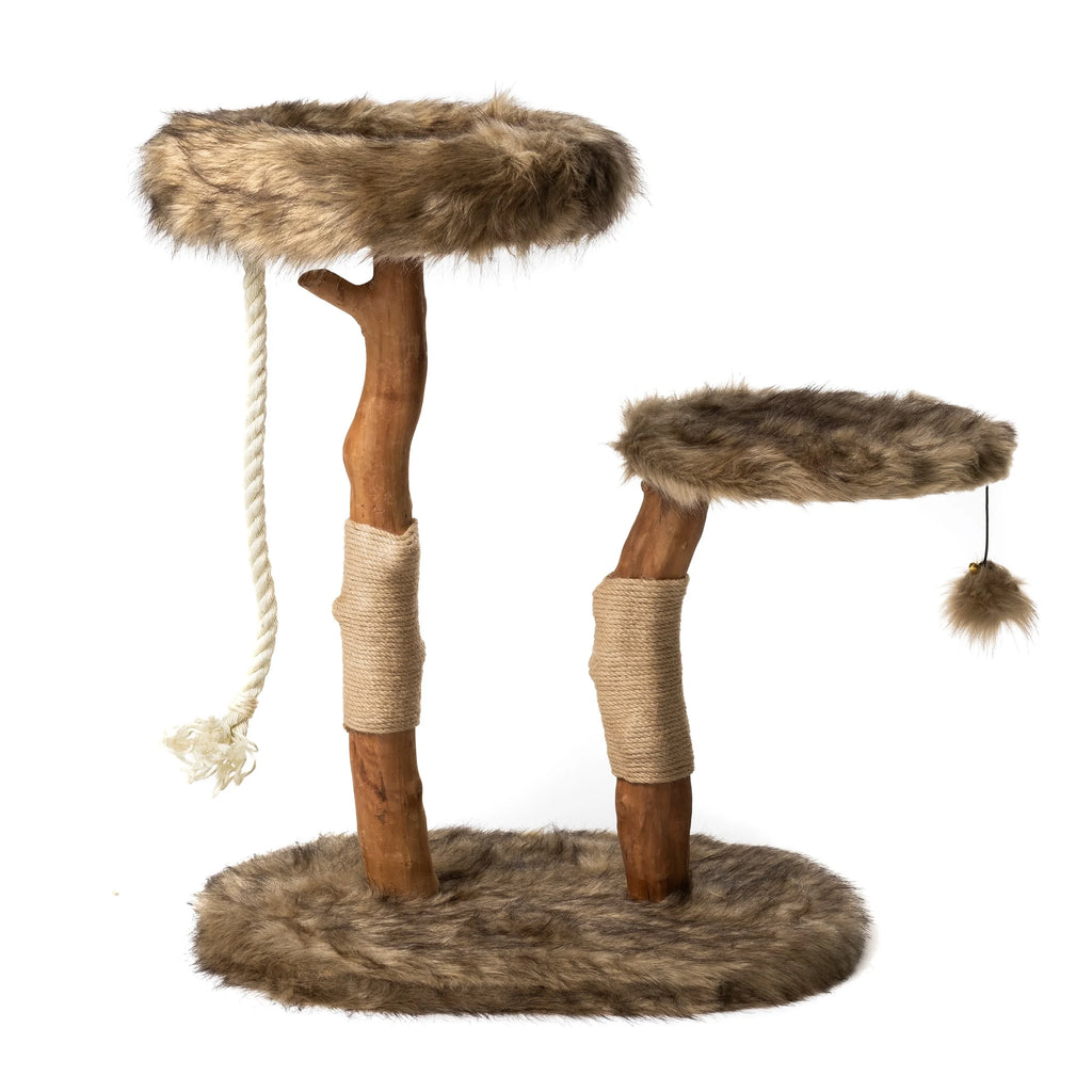 Brown Cat Tree I93851