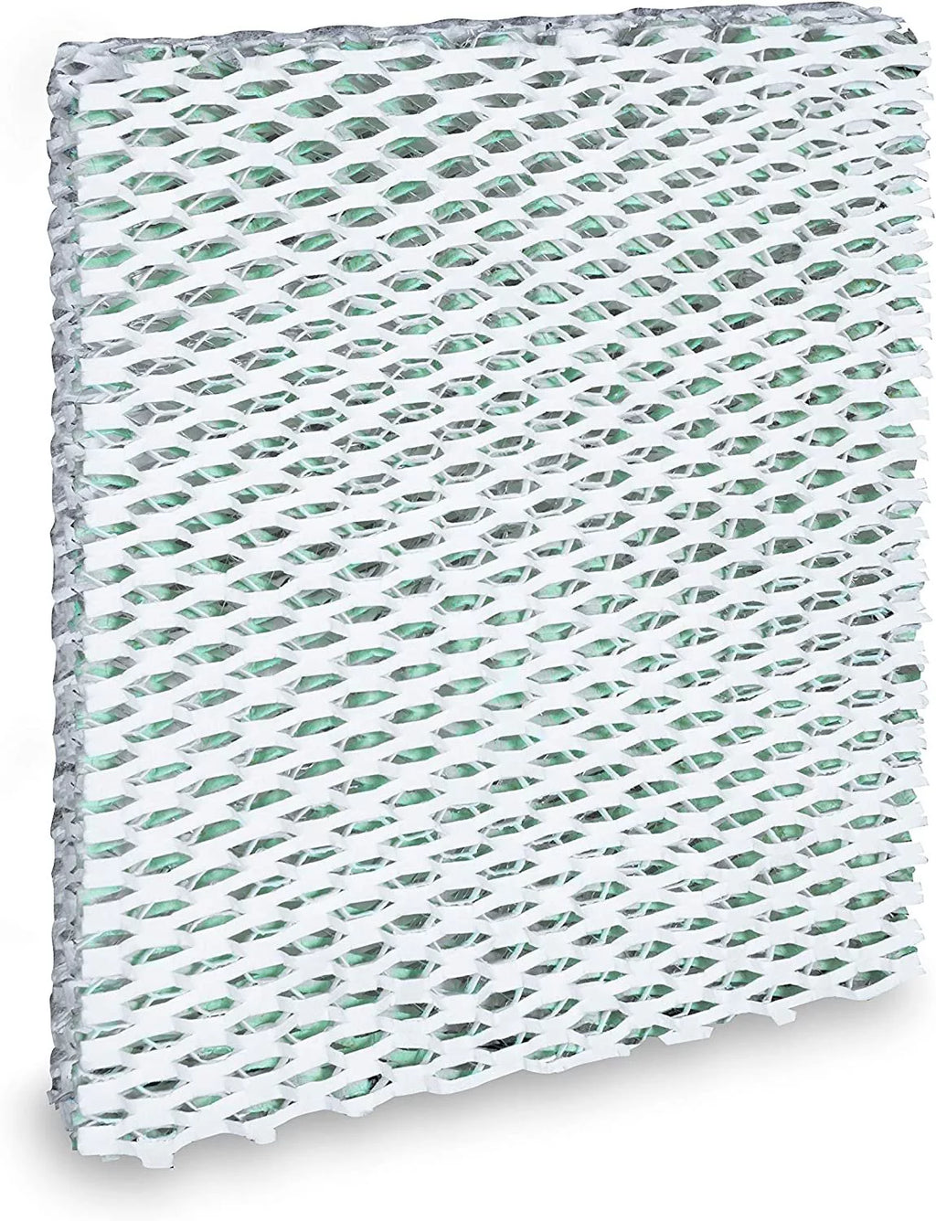 Humidifier Wick Filter Single Pack Z731682