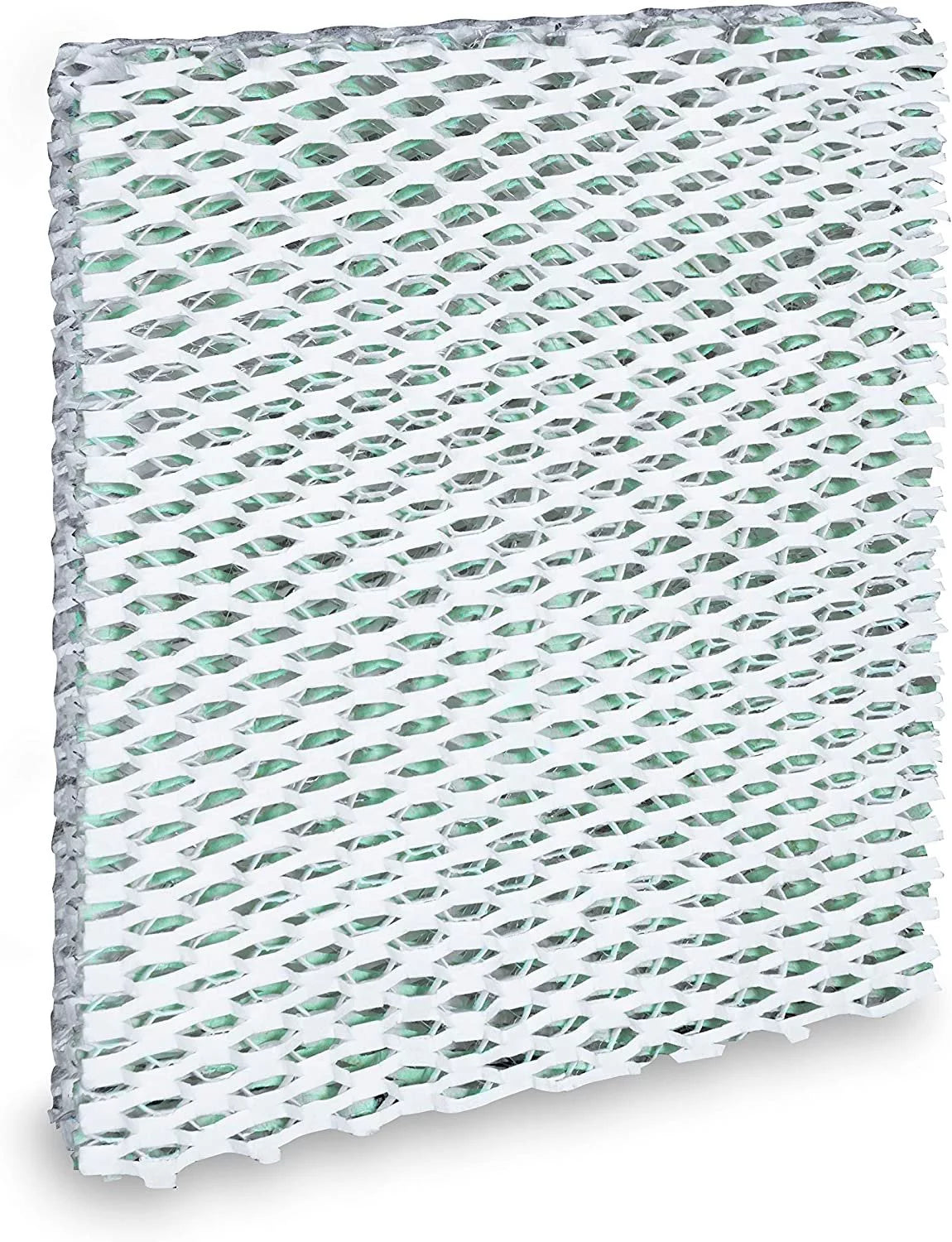 Humidifier Wick Filter Single Pack Z731682