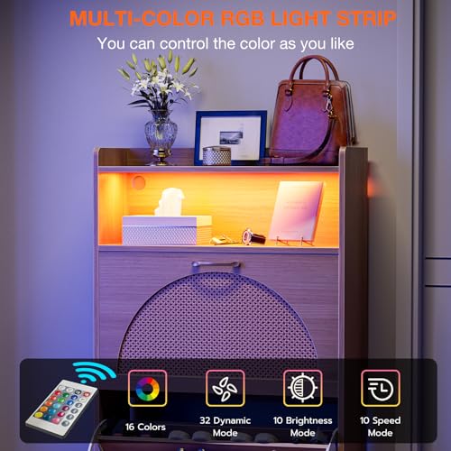 Natural LED Rattan Wood Shoe Storage Cabinet with 2 Flip Drawers H6831