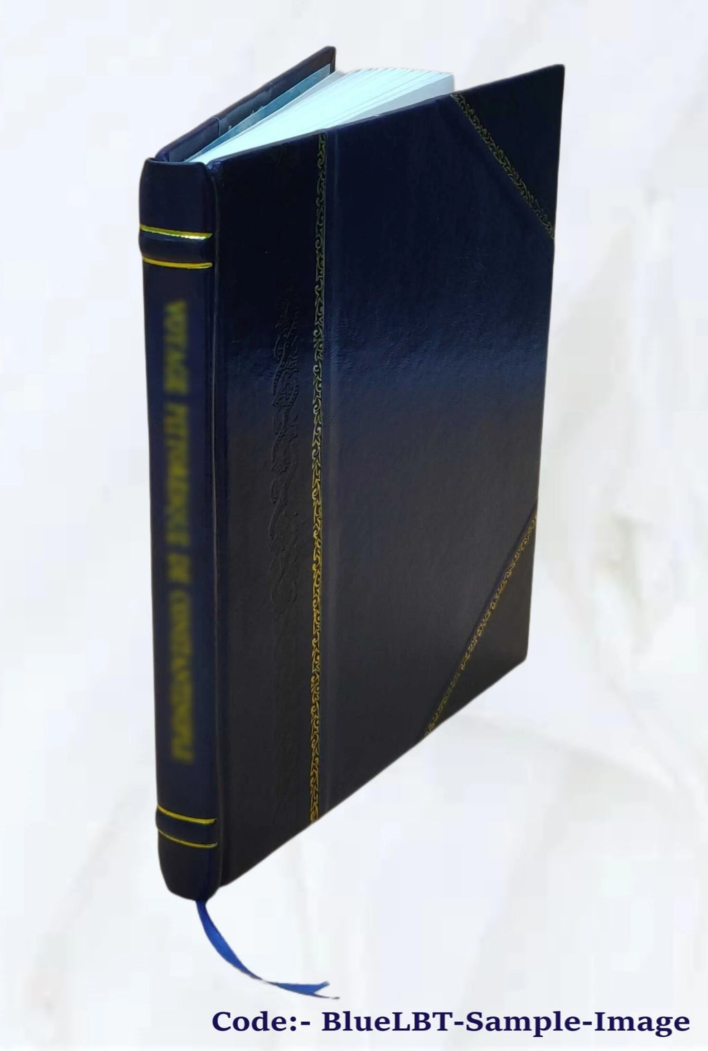 Leather Bound Book I3839