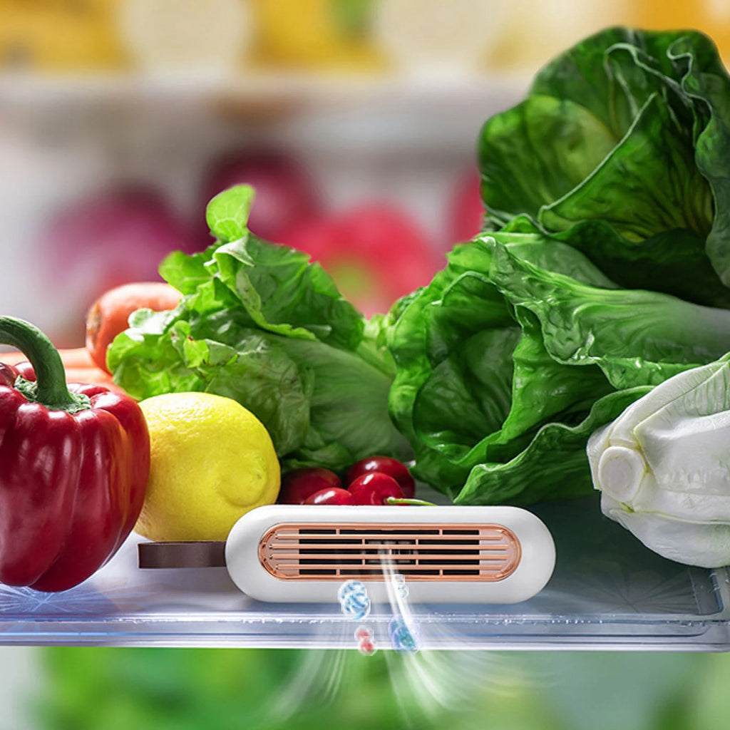 Refrigerator deodorizer R9408