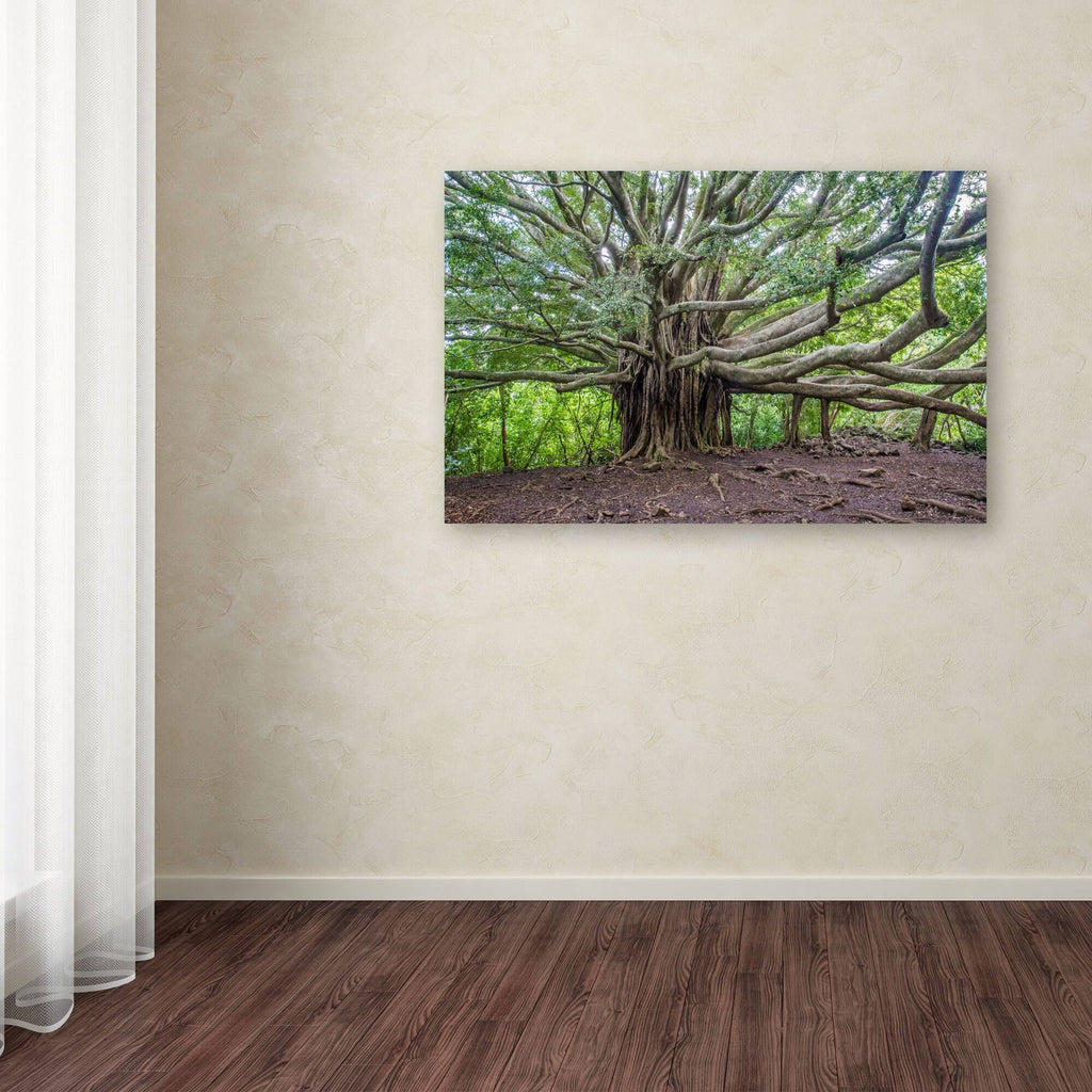 Canvas Art Q17413