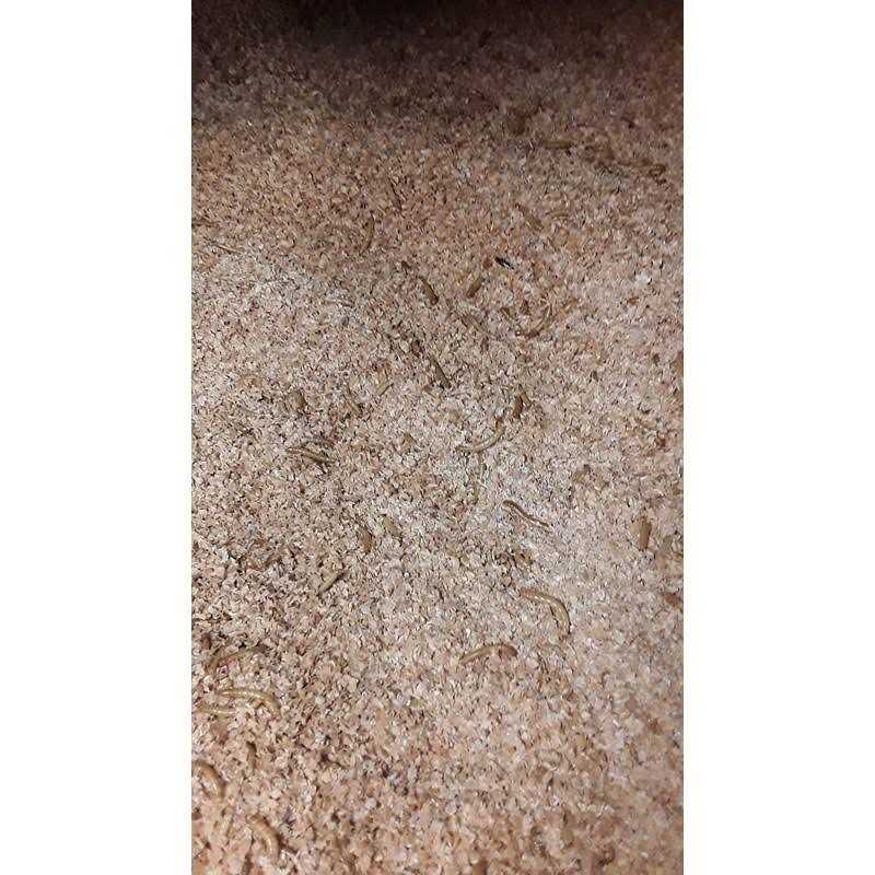 Mealworm and Superworm Bedding K24596