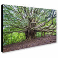 Canvas Art Q17413