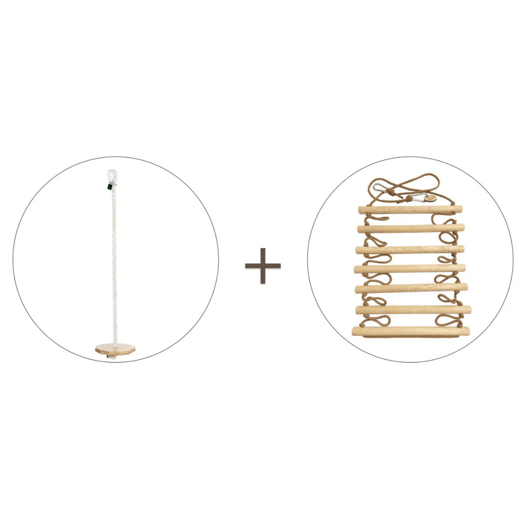 2-in-1 Rope Swing and Ladder Set for Kids Z8612