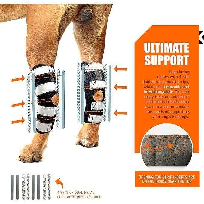 3-in-1 Long Rear Leg Support Dog Splint Braces H838816