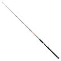 Catfish Rod 1.70 M / 80-180 G P25095