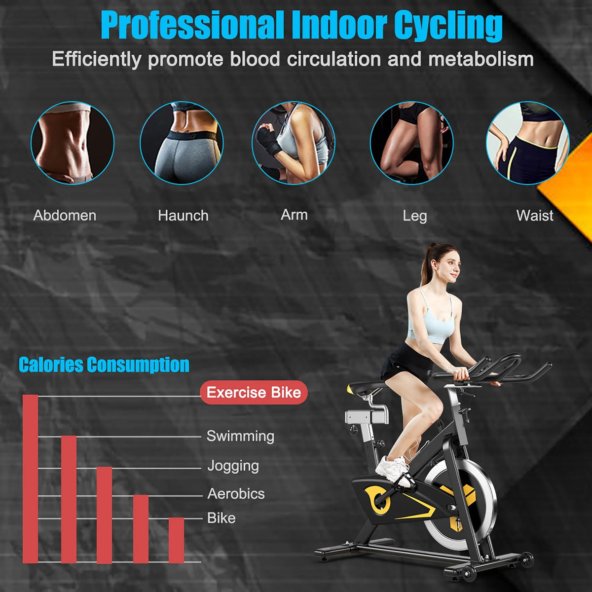 Indoor Cycling Bike Magnetic Exercise Bike Belt Drive Y825664