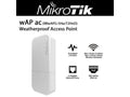 Weatherproof Dual-Band Access Point with Gigabit Ethernet Port D629