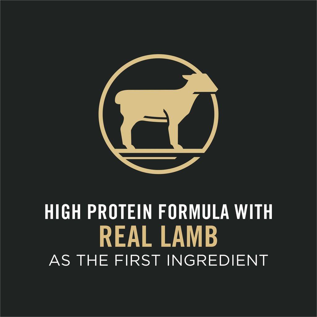 Lamb and Rice Cat Food 7 lb. Bag B2800