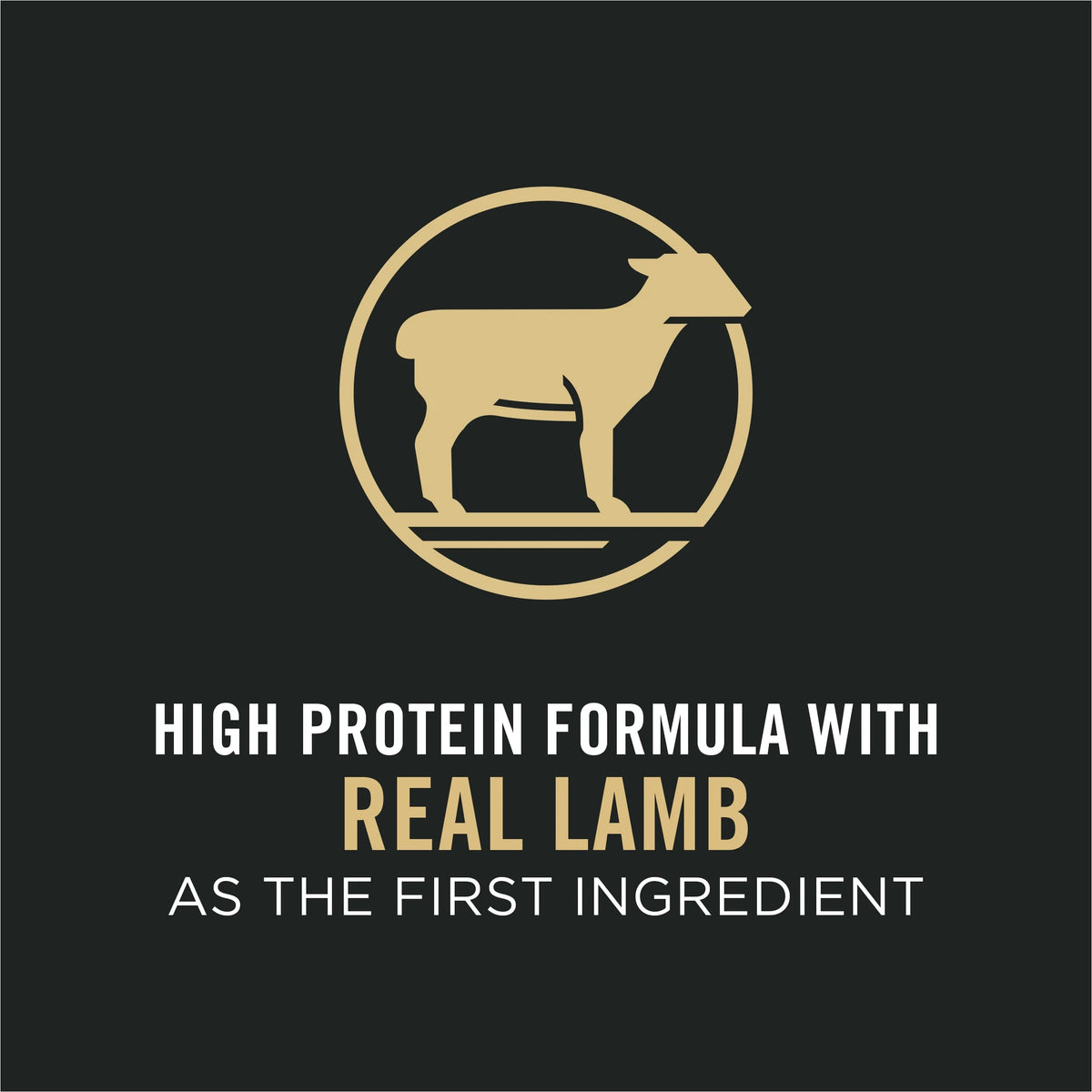 Lamb and Rice Cat Food 7 lb. Bag B2800