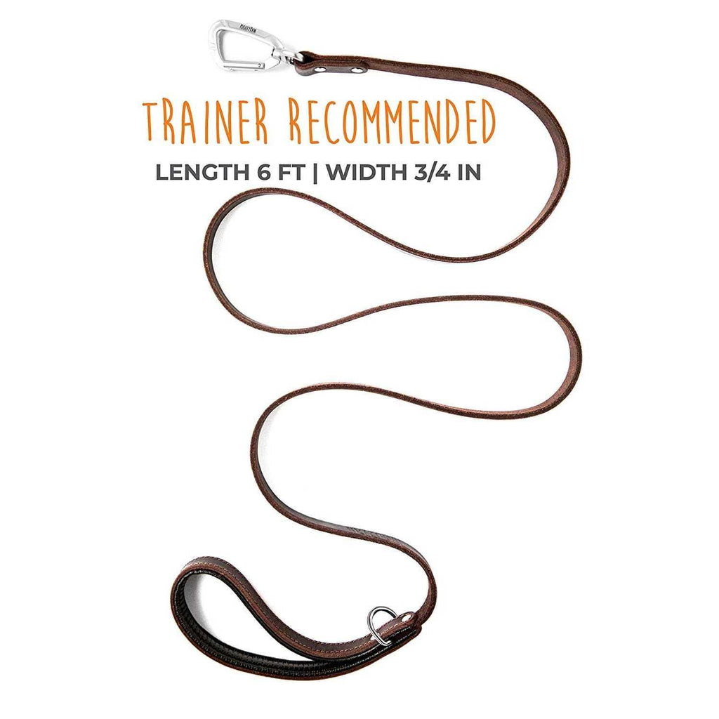 Leather Dog Leash P133