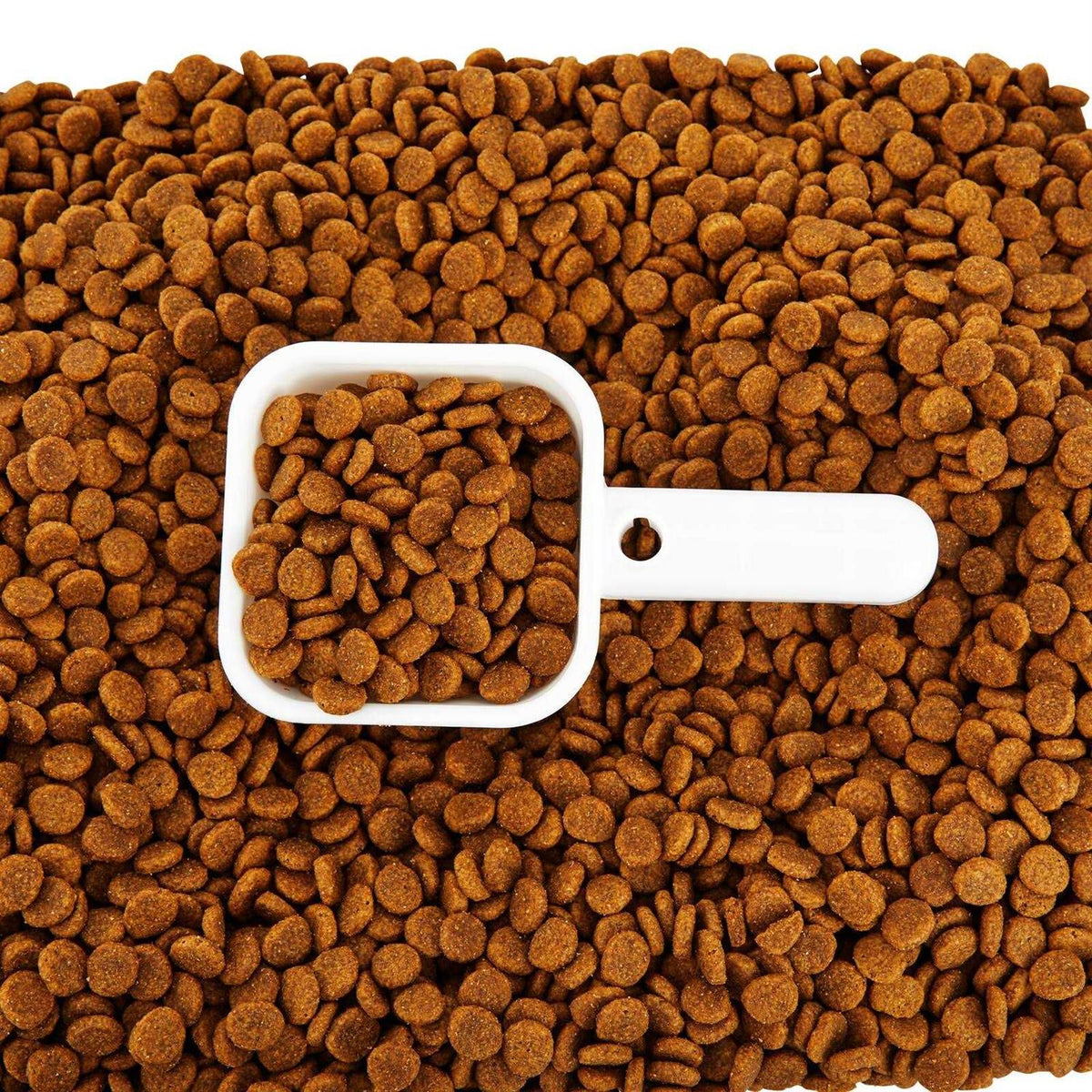 Food Storage K48358