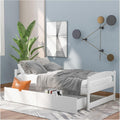 White Twin Size Wood Daybed with 2 Drawers M16373