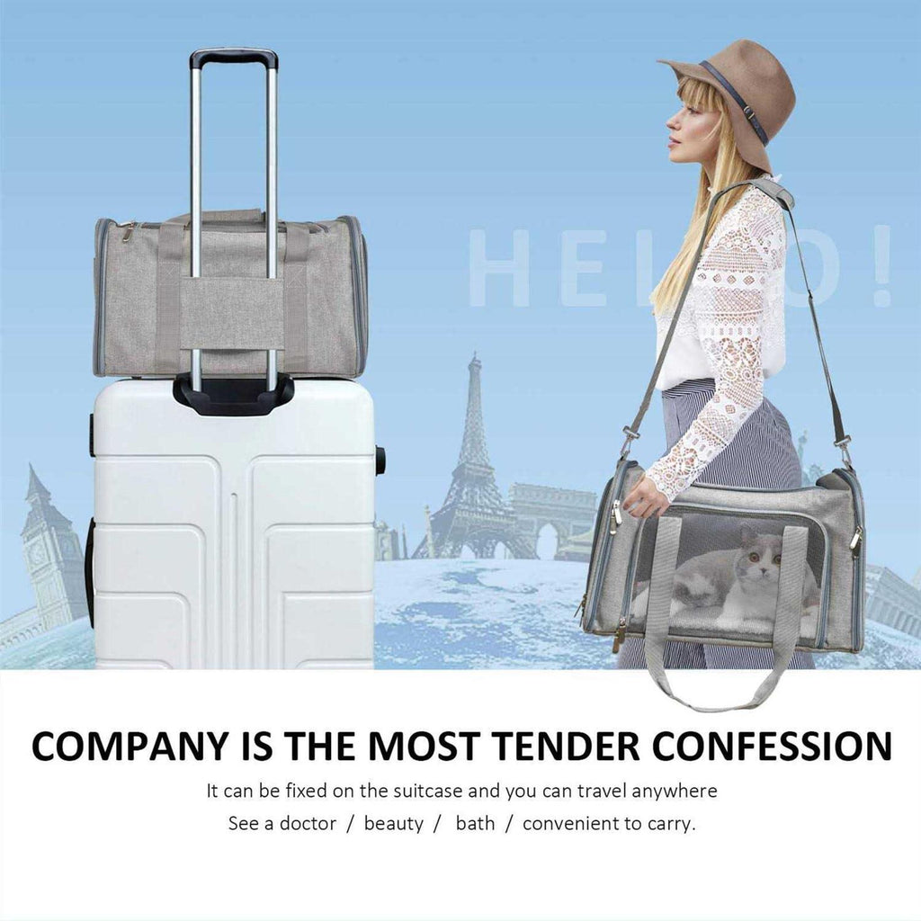 Pet Carrier H8420