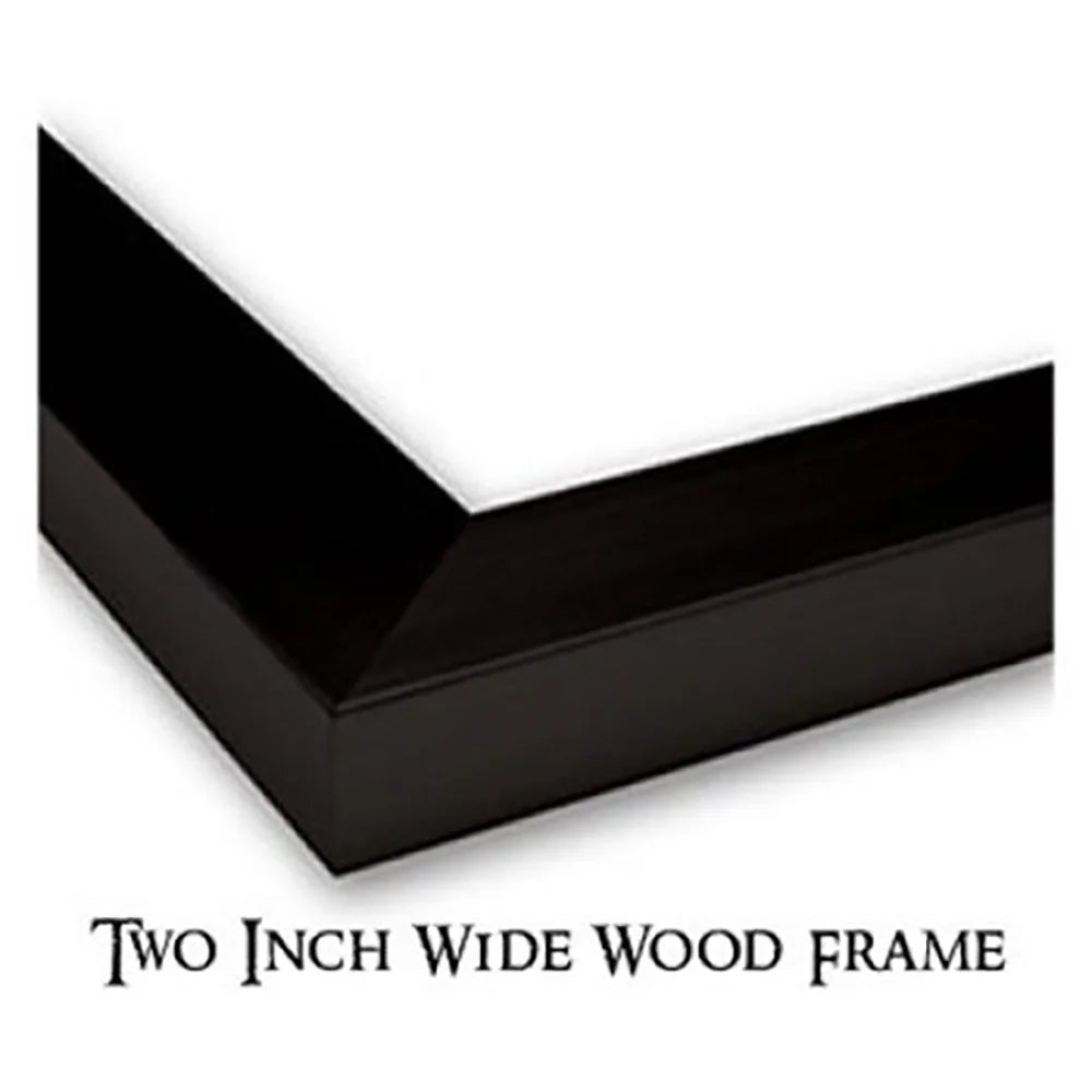 Black Modern Framed Museum Art Print G734