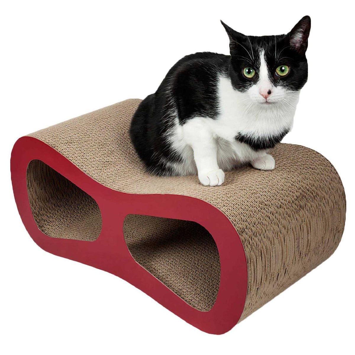 XL Dog Tie-Out Cable with Trolley Y280312