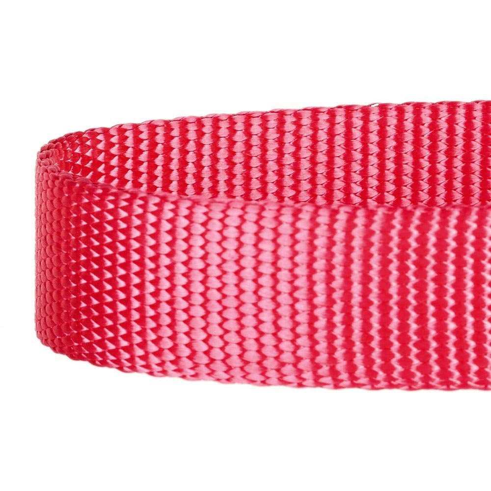 Classic Dog Leash P14662