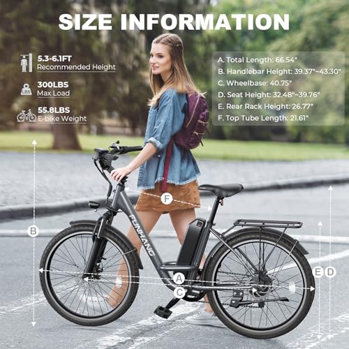 26" 1000W Peak Electric Bicycle with 48V 374.4WH Removable Battery H156
