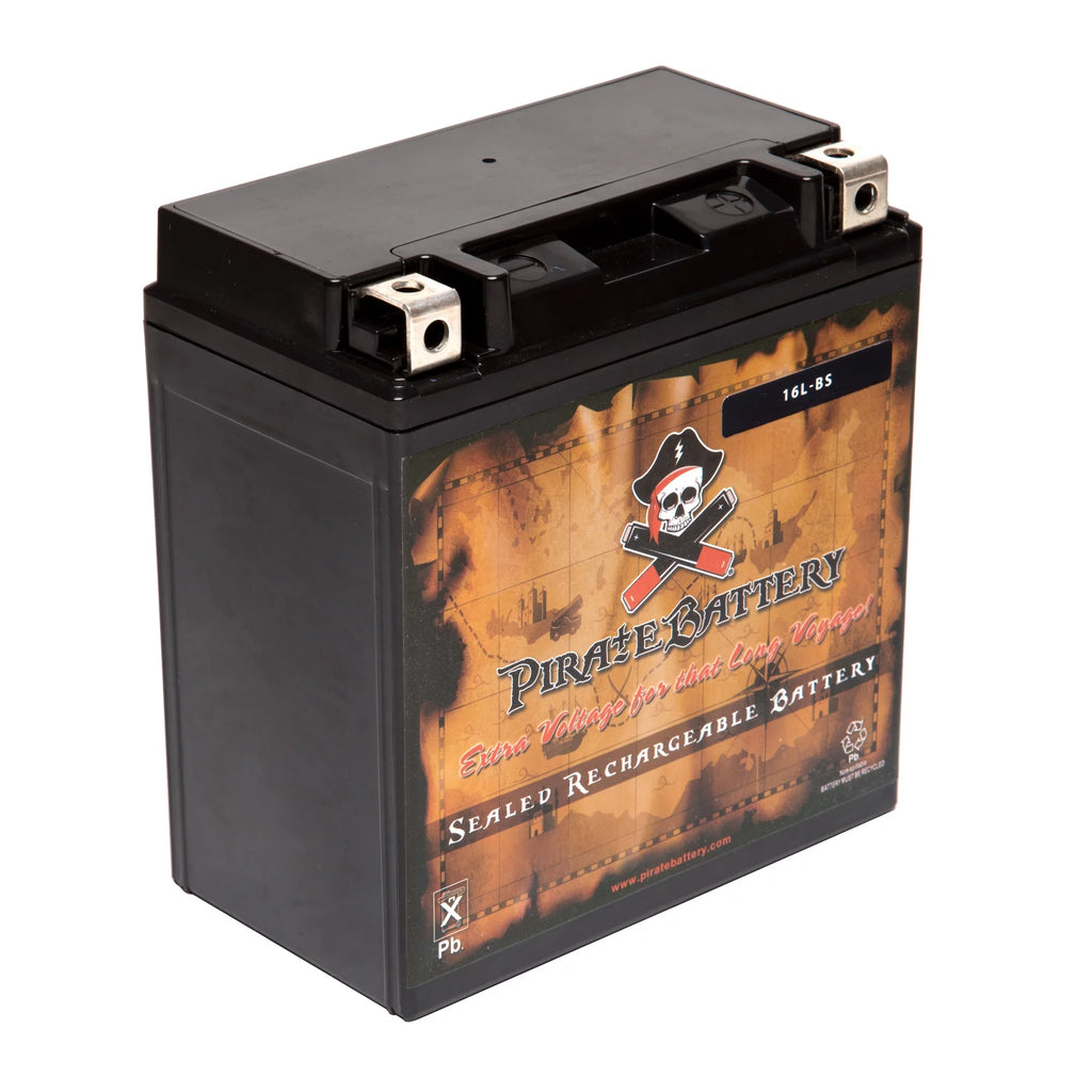 YTX16L-BS 12 Volt 14 Ah 230 CCA ATV Battery L573