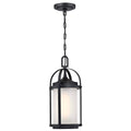 Matte Black Outdoor Pendant with Frosted Glass B7595