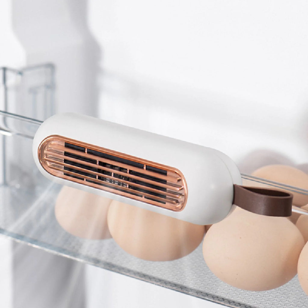 Refrigerator deodorizer R9408