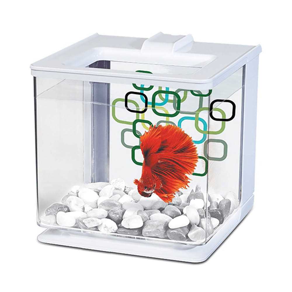 Betta Aquarium Kit P523