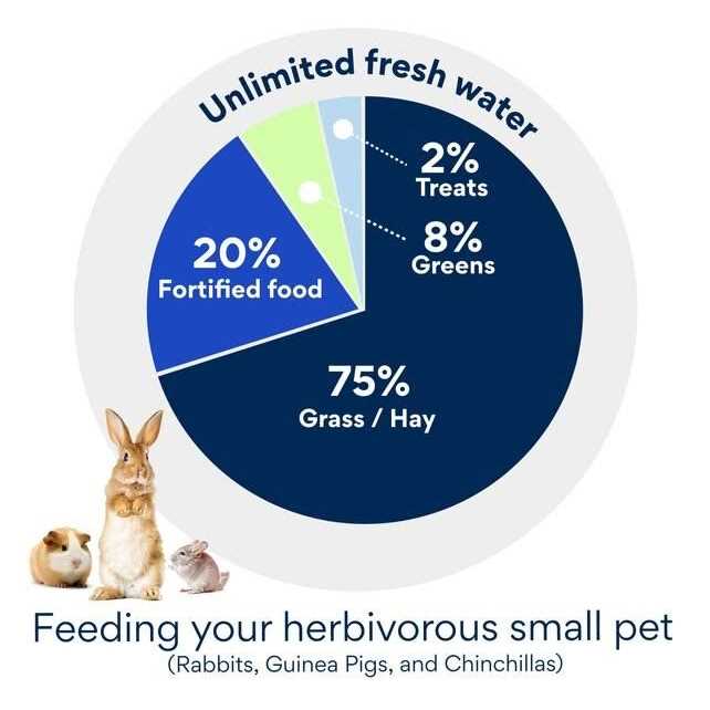 Grain-Free Rabbit Food Z747896