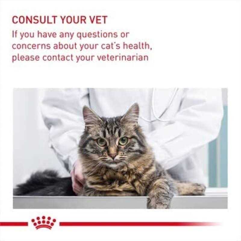 Wet Cat Food J5141