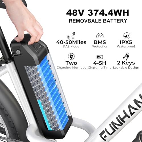 26" 1000W Peak Electric Bicycle with 48V 374.4WH Removable Battery H156