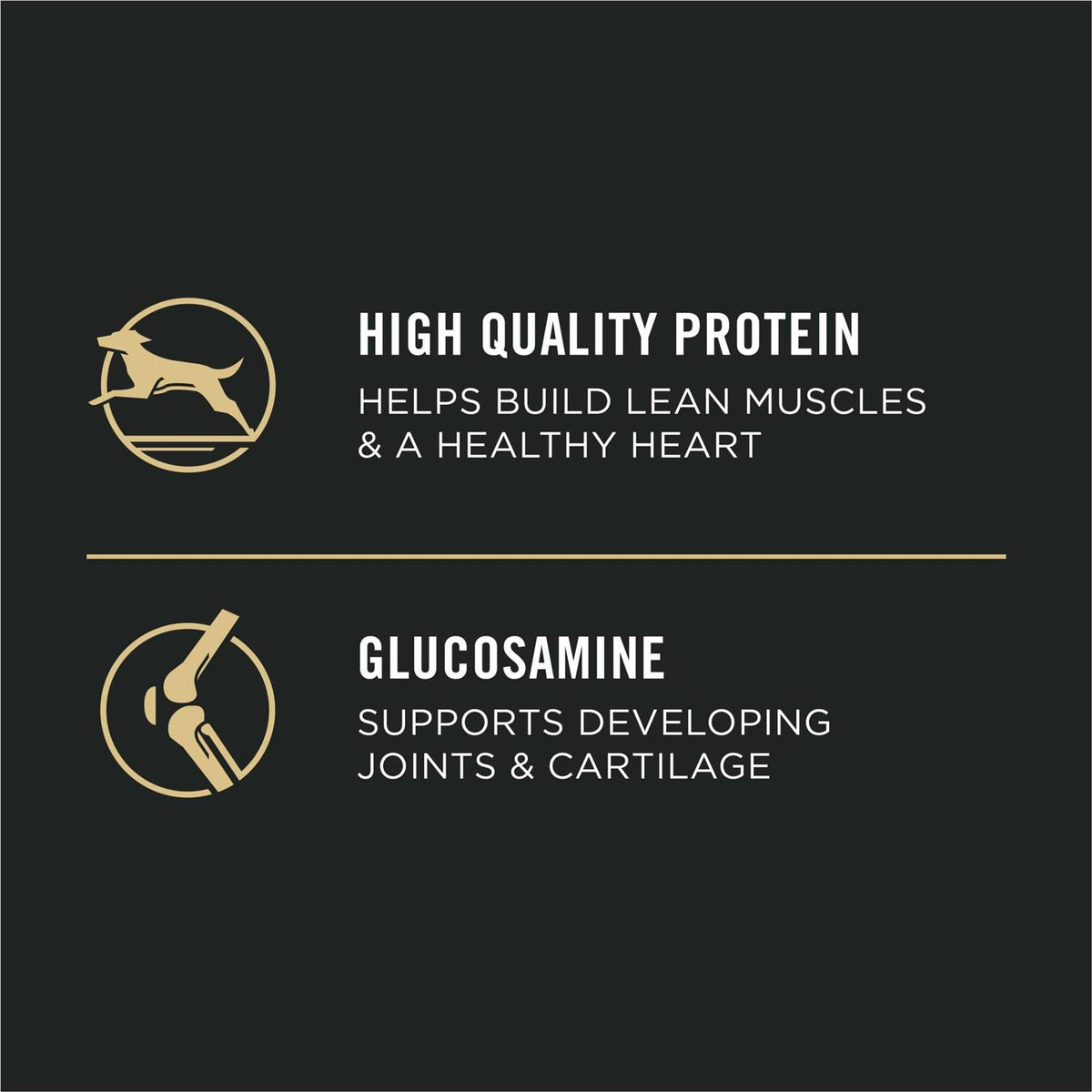 High Protein Chicken Large Breed Puppy Food A583