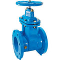 Cast Iron Gate Valve 2-1/2 in R5028