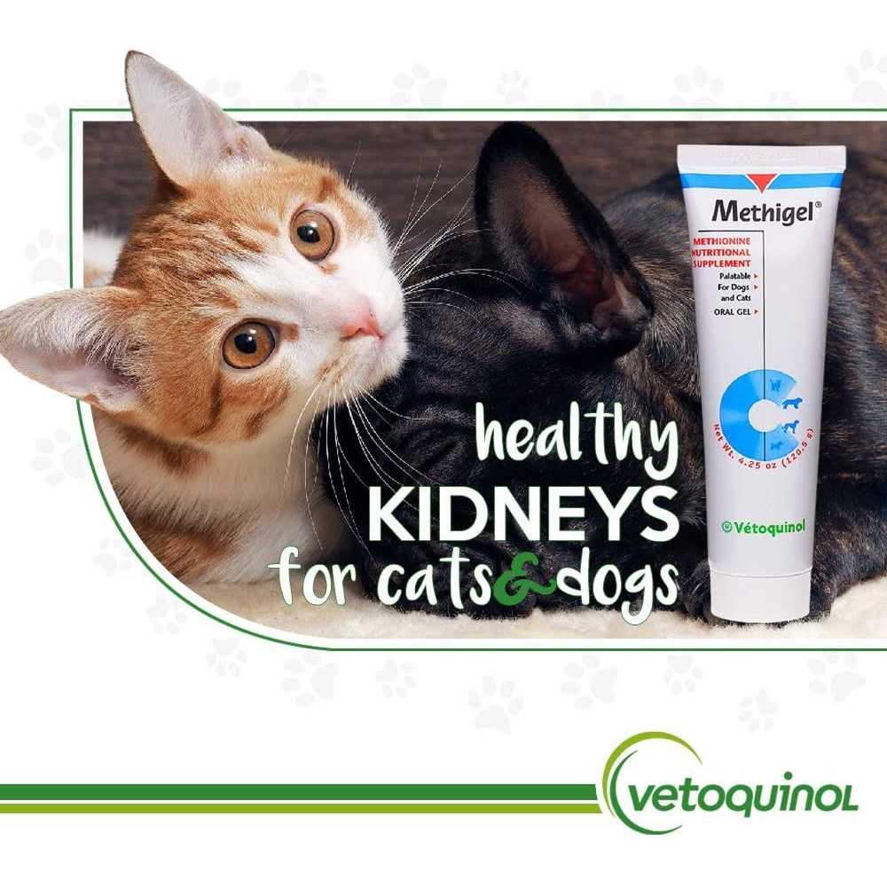 Urinary Acidifier for Dogs & Cats N1717