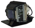 Replacement Projector Lamp & Housing M2595