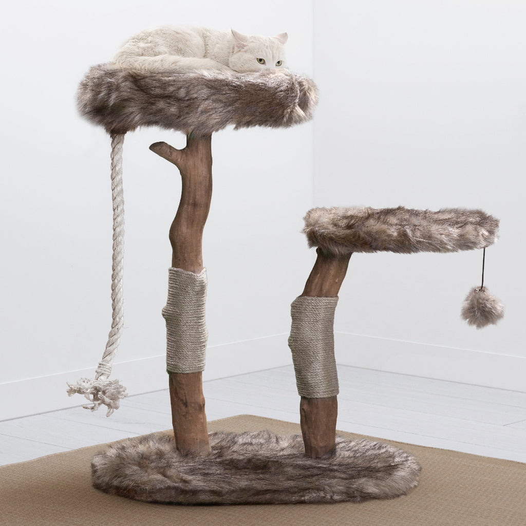 Brown Cat Tree I93851