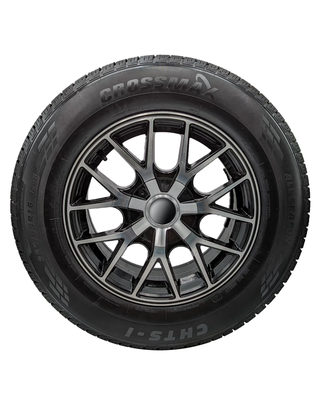225/55R19 99V All-Season Tire D680