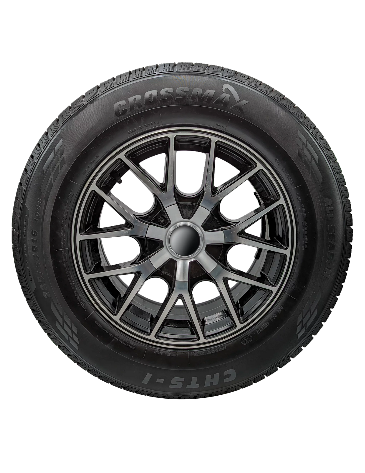 225/55R19 99V All-Season Tire D680