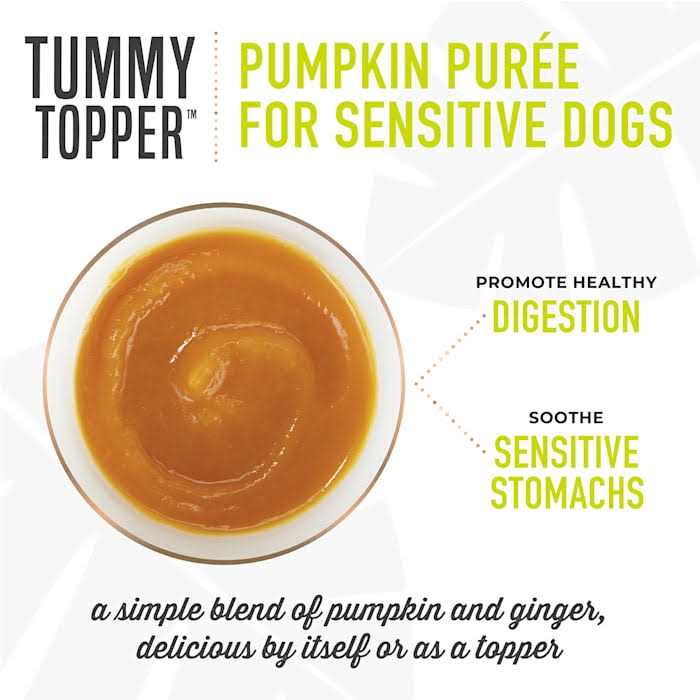Pumpkin Ginger Dog Food Topper B648019