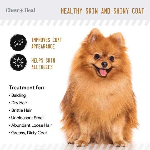 Omega Skin + Coat Supplement Z227