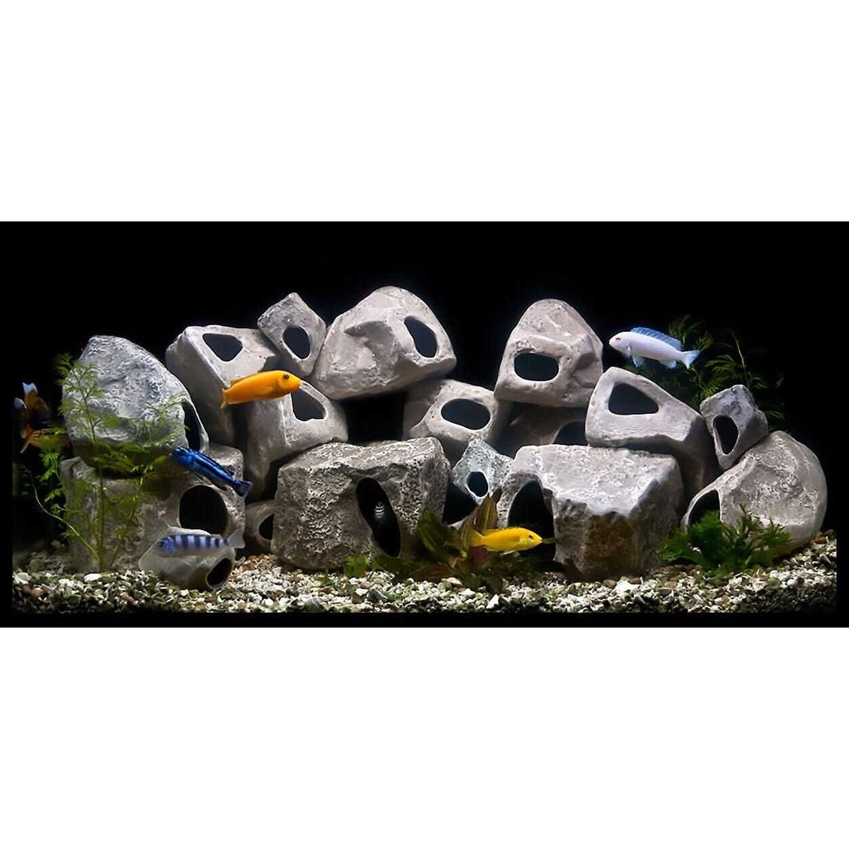 15-Pack Cichlid Stone N5887