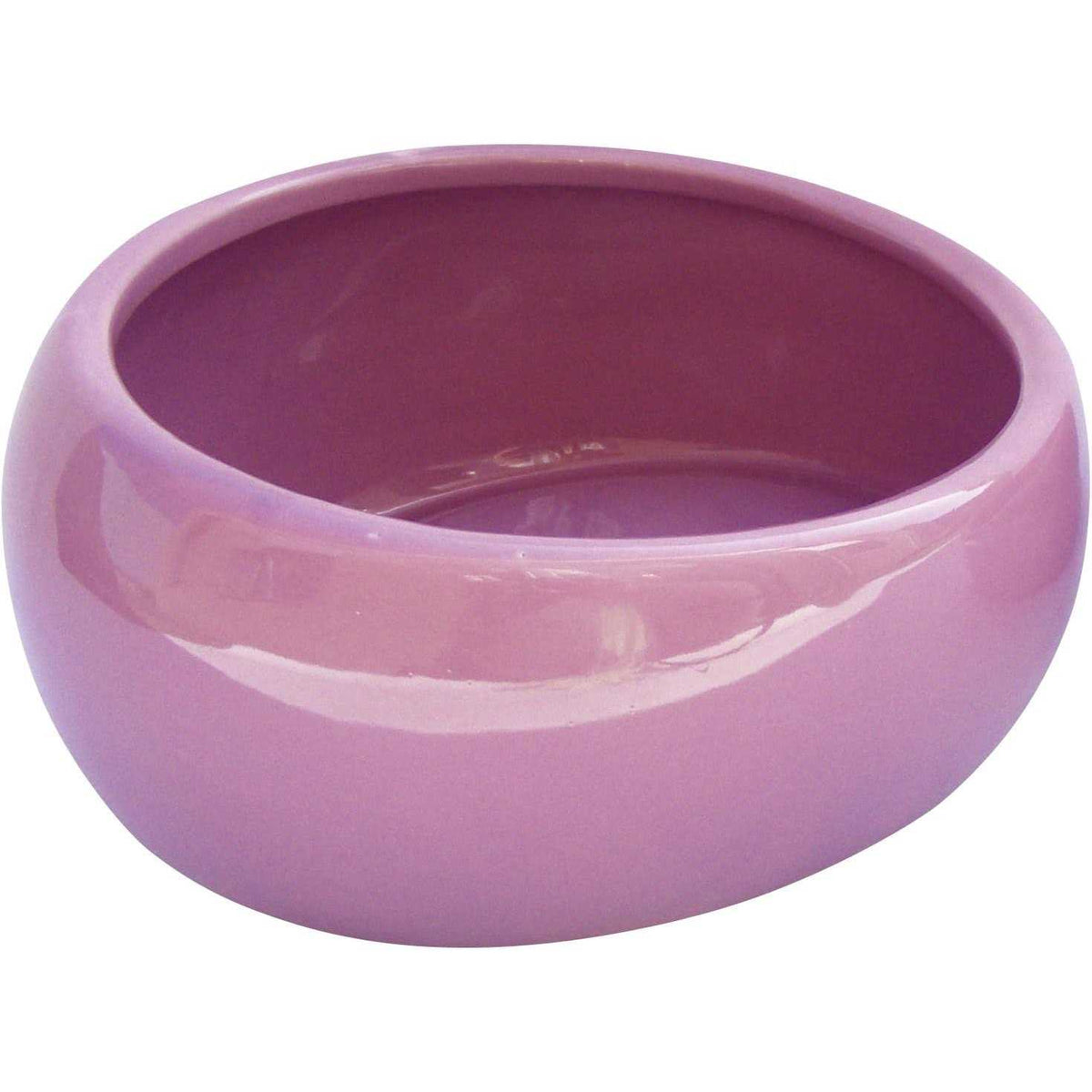 Dish Z58837
