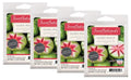 Guava Peach Scented Wax Melts 2.5 oz 4-Pack W907