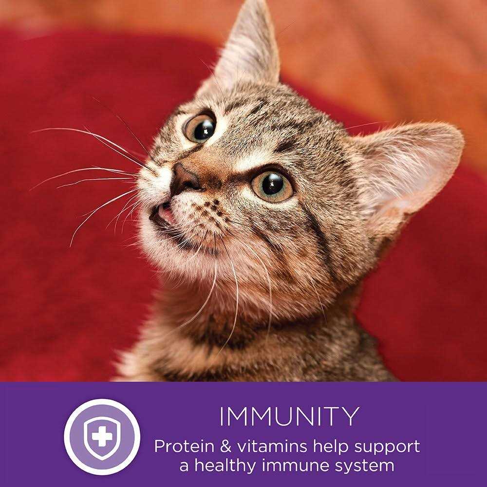 Natural Grain Free Gravy Cat Food Pouch Y89609