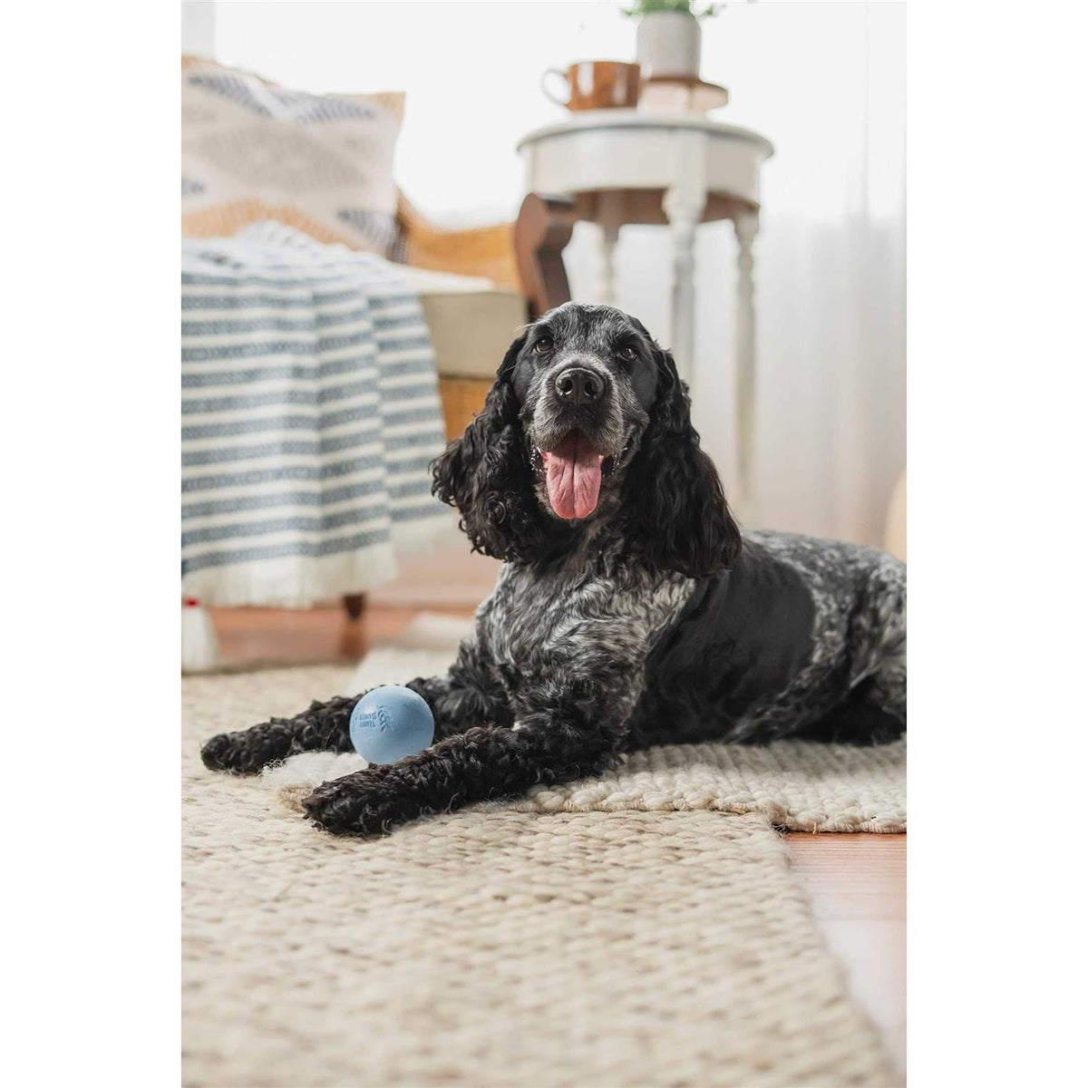 Rubber Balls and Rubber Chew Stick W909477