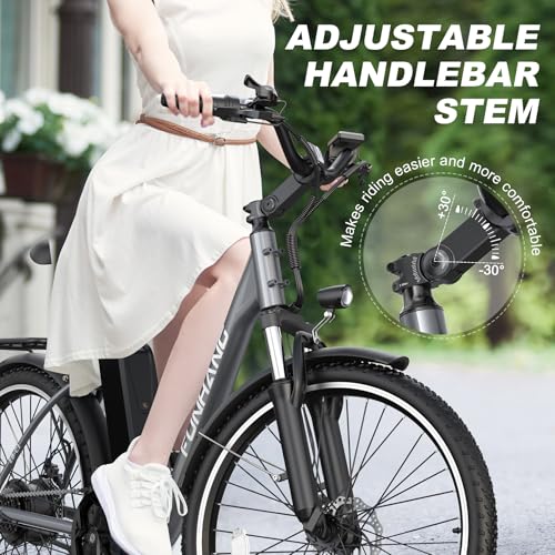 26" 1000W Peak Electric Bicycle with 48V 374.4WH Removable Battery H156