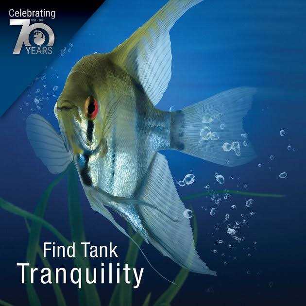 1.5 Gallon Cube with Whisper Filtration V838520