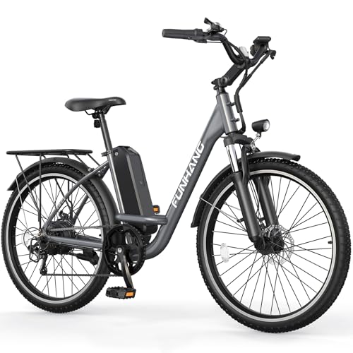 26" 1000W Peak Electric Bicycle with 48V 374.4WH Removable Battery H156